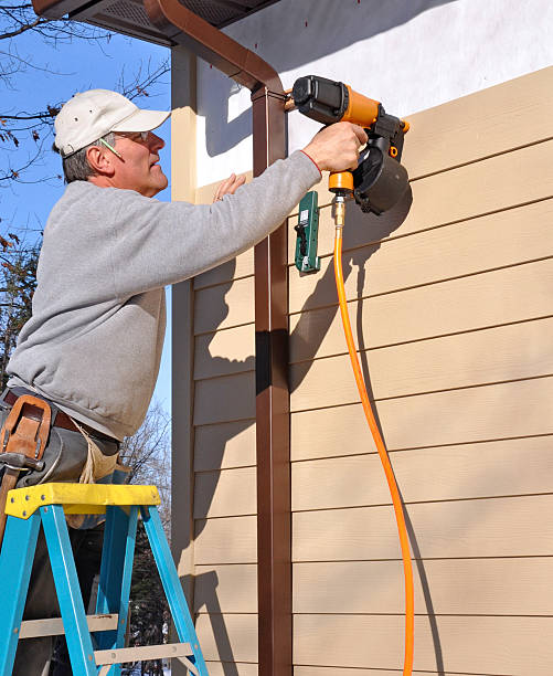 Best Vinyl Siding Installation  in San Elizario, TX