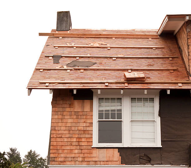 Best Siding Removal and Disposal  in San Elizario, TX